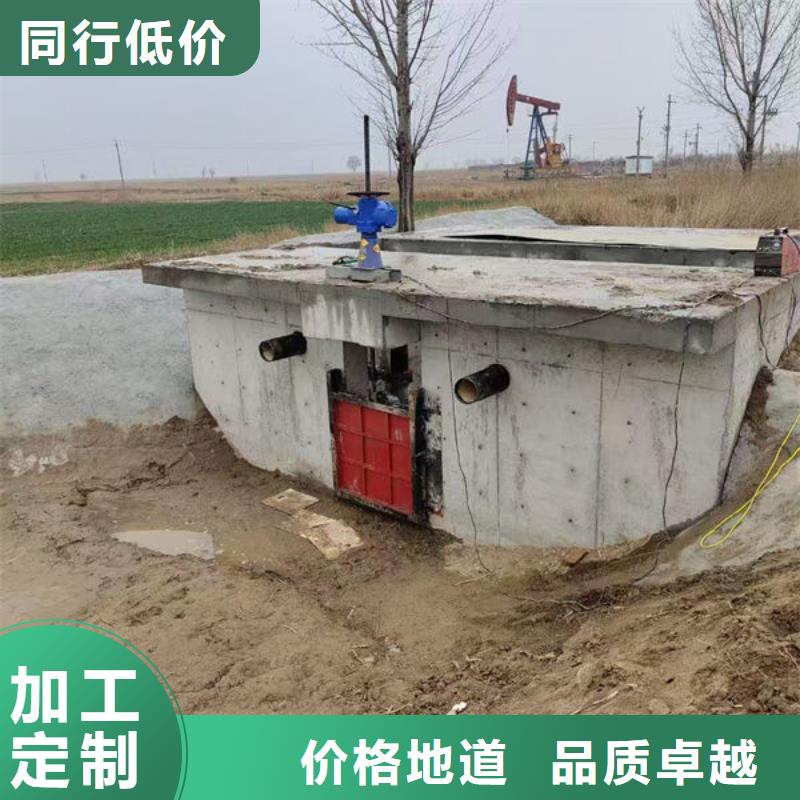 铸铁闸门_水电站铸铁闸门欢迎来电咨询