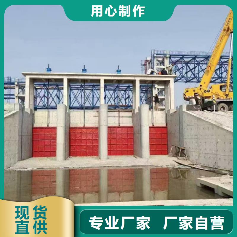 鑄鐵閘門-鑲銅鑄鐵閘門講信譽(yù)保質(zhì)量