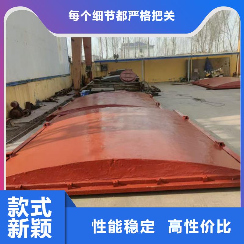 鑲銅鑄鐵閘門源頭廠家