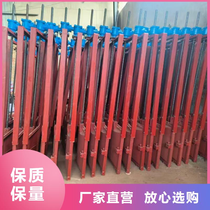 鑄鐵閘門水庫(kù)鑄鐵閘門實(shí)力派廠家