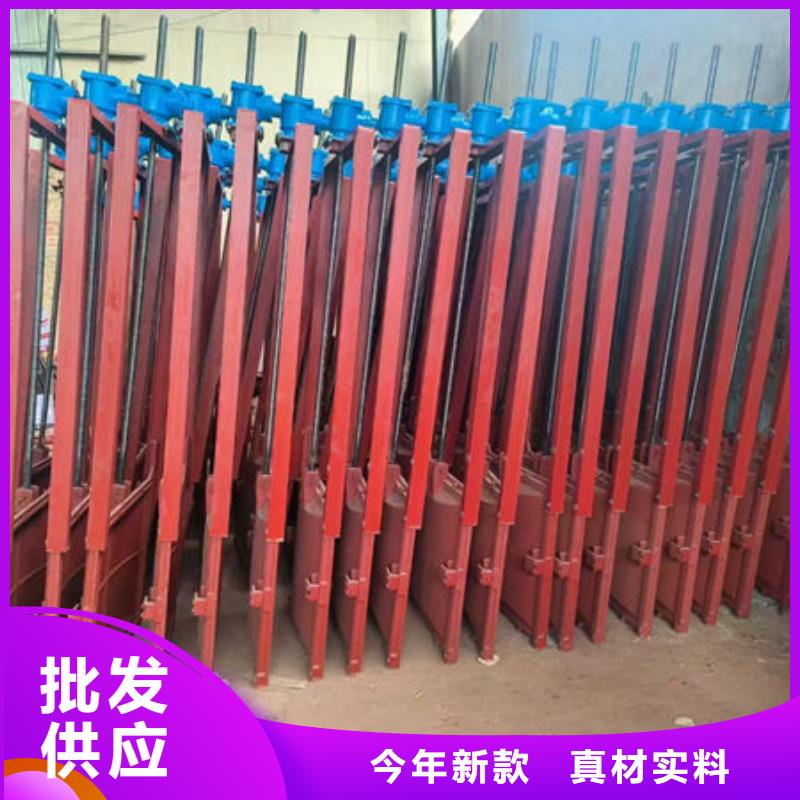 鑄鐵閘門(mén)雙向止水閘門(mén)好貨直銷(xiāo)