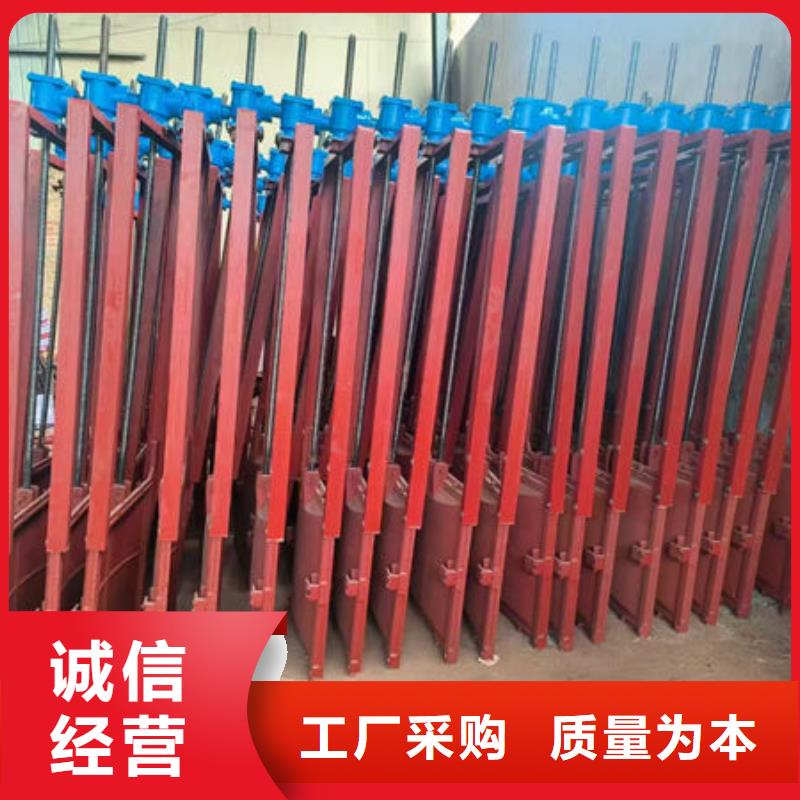 鑄鐵閘門(mén)_附壁式鑄鐵閘門(mén)專業(yè)的生產(chǎn)廠家