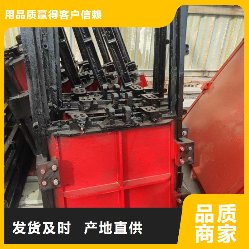 铸铁闸门_河道铸铁闸门诚信为本