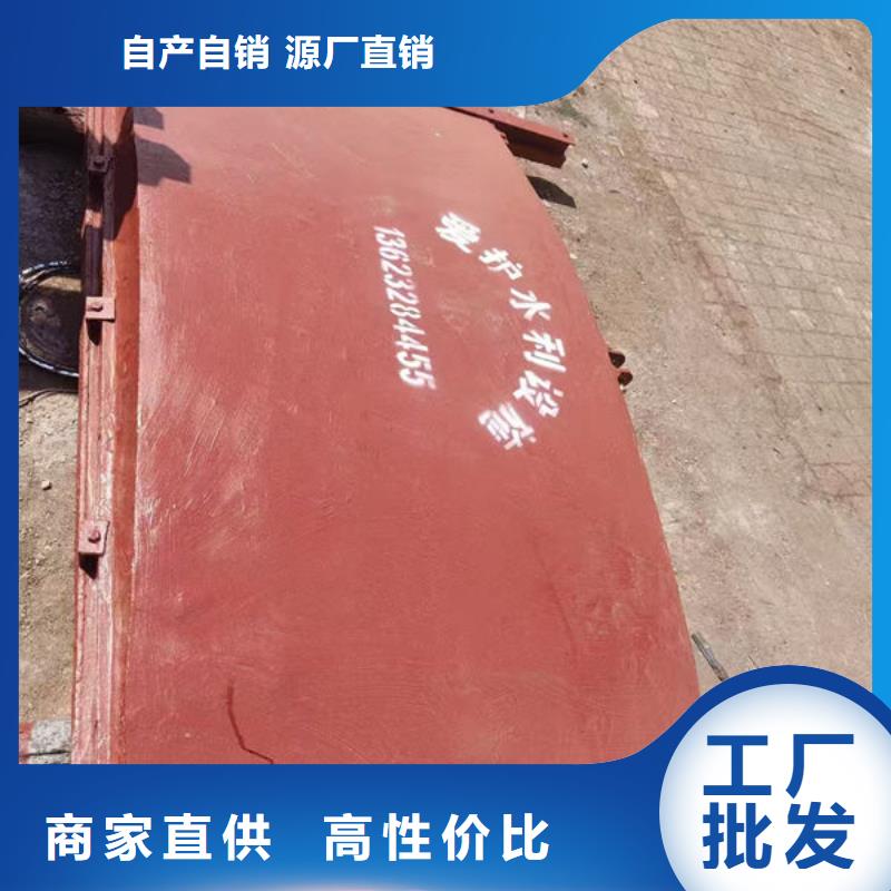 铸铁闸门_镶铜铸铁闸门快速发货