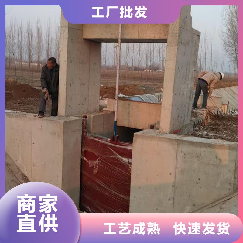 一體式閘門規(guī)格齊全