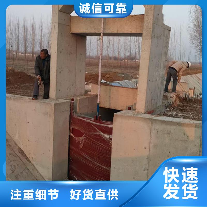 鑄鐵閘門-鑲銅鑄鐵閘門講信譽(yù)保質(zhì)量