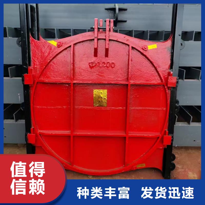 鑄鐵閘門(mén)_鑲銅鑄鐵閘門(mén)實(shí)力商家