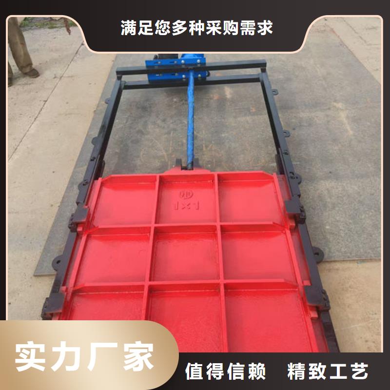 铸铁闸门扇形闸门技术先进