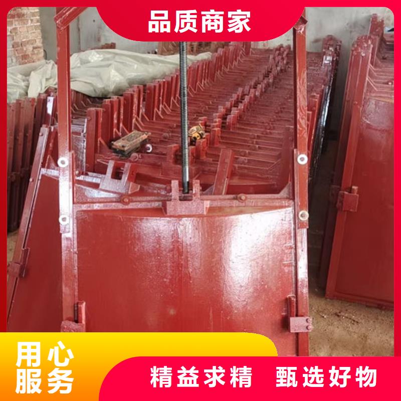 鑄鐵閘門-鑲銅鑄鐵閘門講信譽(yù)保質(zhì)量