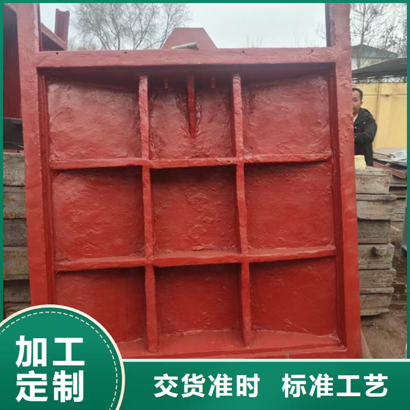 機(jī)閘一體式鑄鐵閘門(mén)工廠直銷