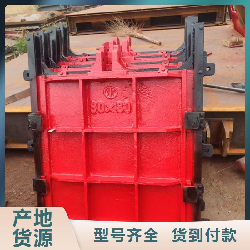 一體式閘門規(guī)格齊全