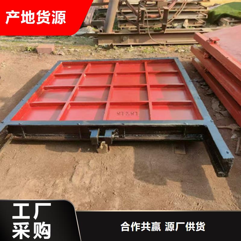 鑄鐵閘門,鑲銅鑄鐵閘門工藝精細(xì)質(zhì)保長久