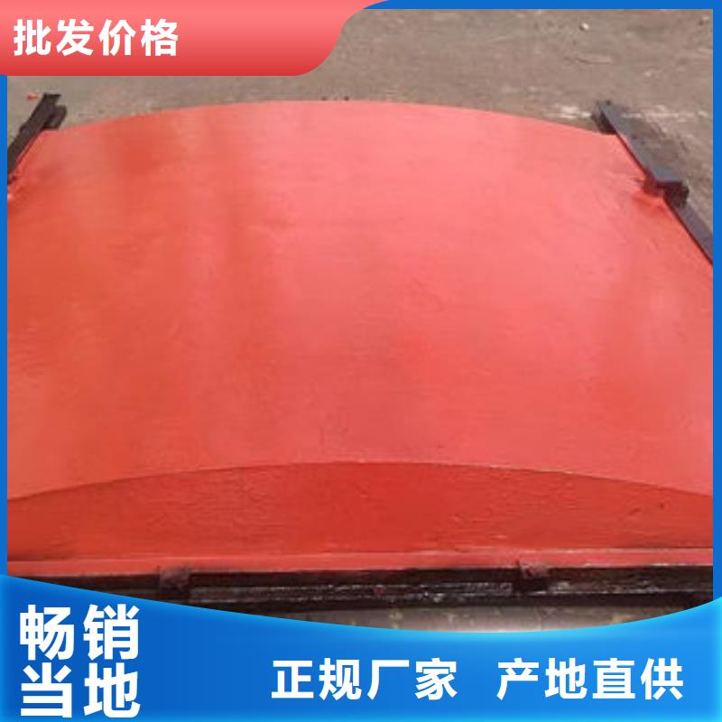 機(jī)閘一體式鑄鐵閘門工廠直銷