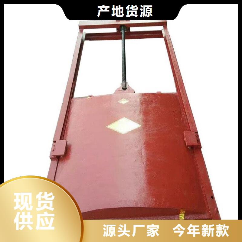 鑄鐵閘門一體式閘門支持非標(biāo)定制