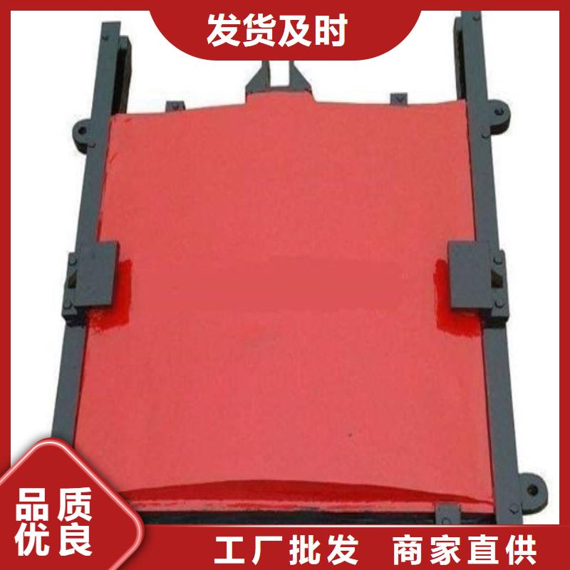 鑲銅鑄鐵閘門規(guī)格齊全