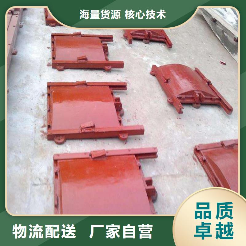 铸铁闸门,复合闸门质保一年