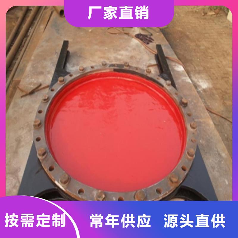 铸铁闸门,复合闸门质保一年