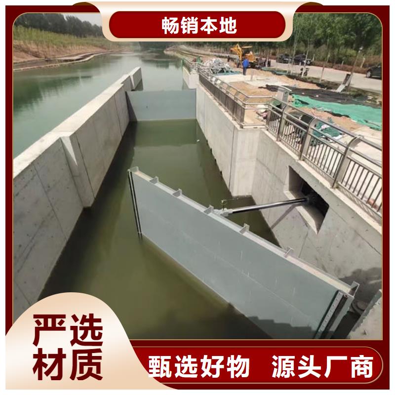 钢坝闸门,泵站上卧式闸门品质保障售后无忧