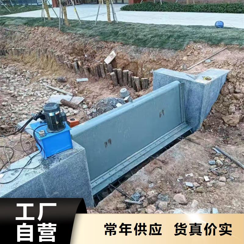 钢坝闸门_自动抓梁敢与同行比服务