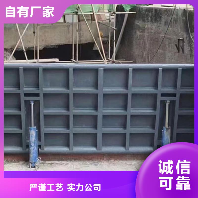 钢坝闸门,泵站上卧式闸门品质保障售后无忧