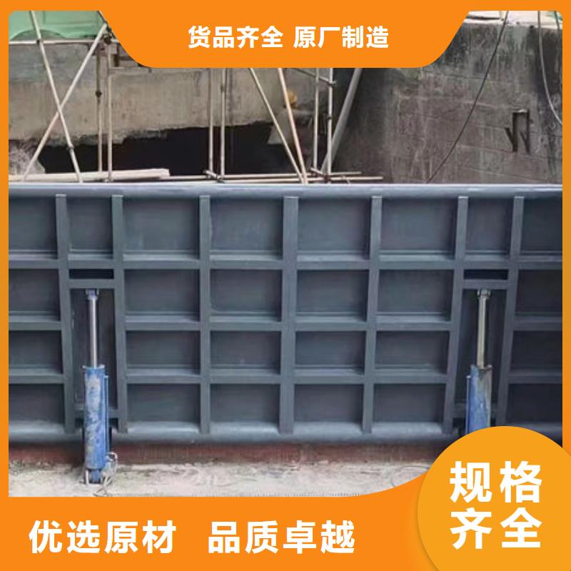 鋼壩閘門合頁(yè)鋼壩專注生產(chǎn)N年