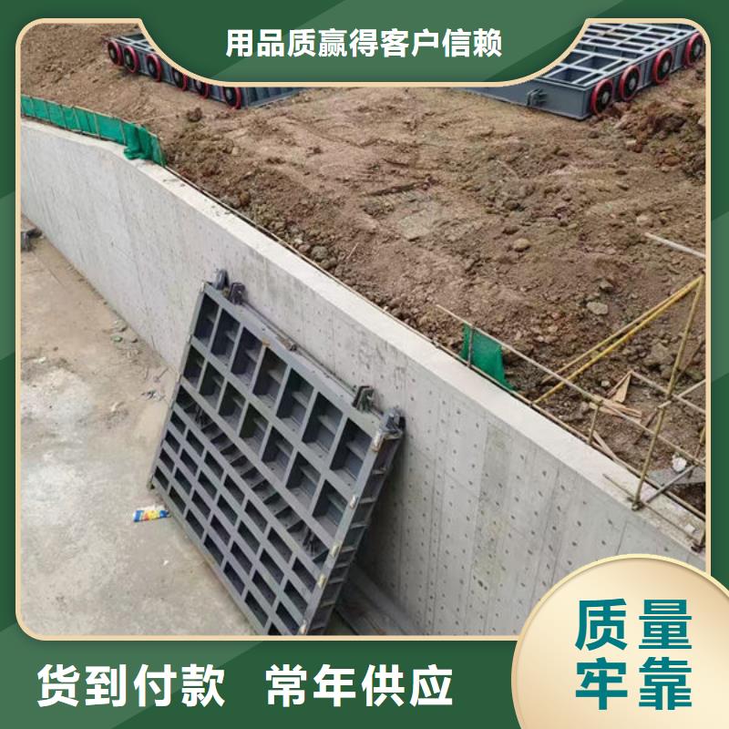 钢坝闸门,泵站上卧式闸门品质保障售后无忧