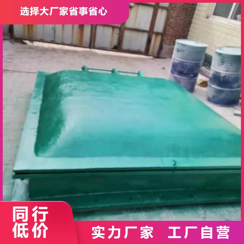 拍門球墨鑄鐵拍門精心打造