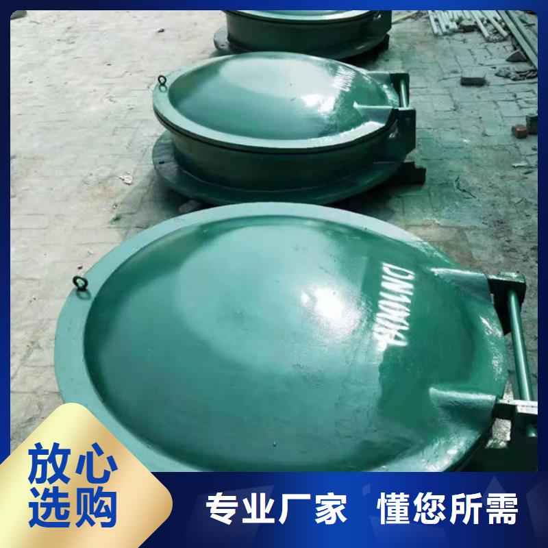 拍門復(fù)合材料拍門定制速度快工期短