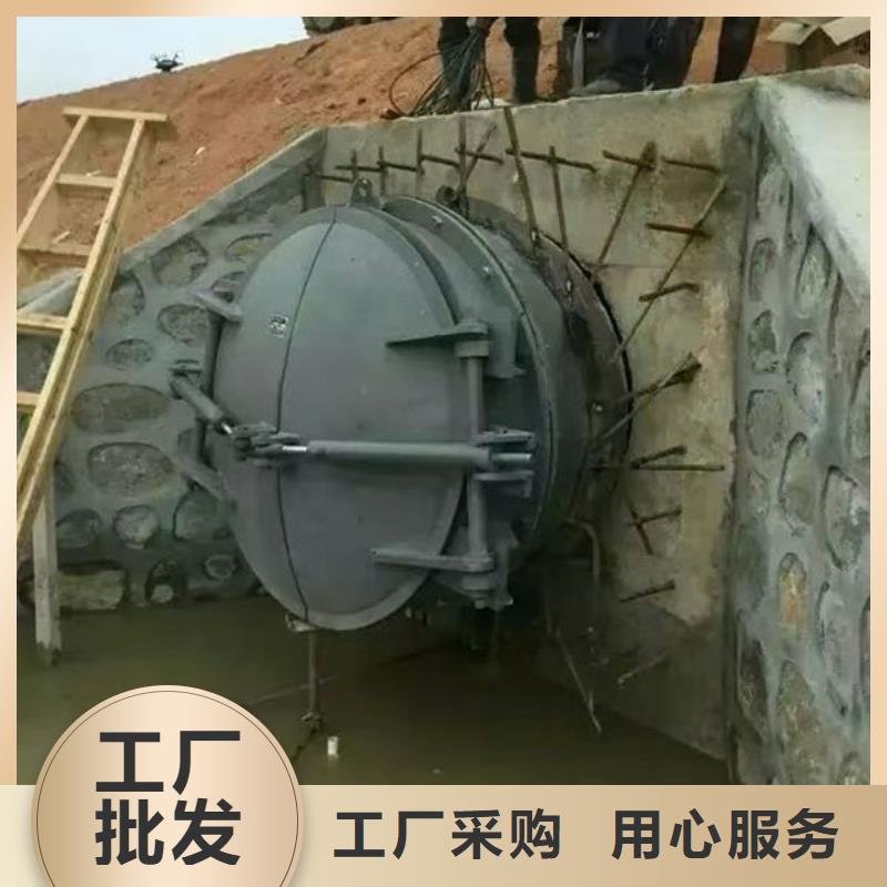 拍門(mén)_球墨鑄鐵拍門(mén)生產(chǎn)加工