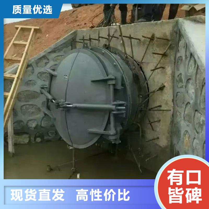 拍门球墨铸铁拍门多年厂家可靠