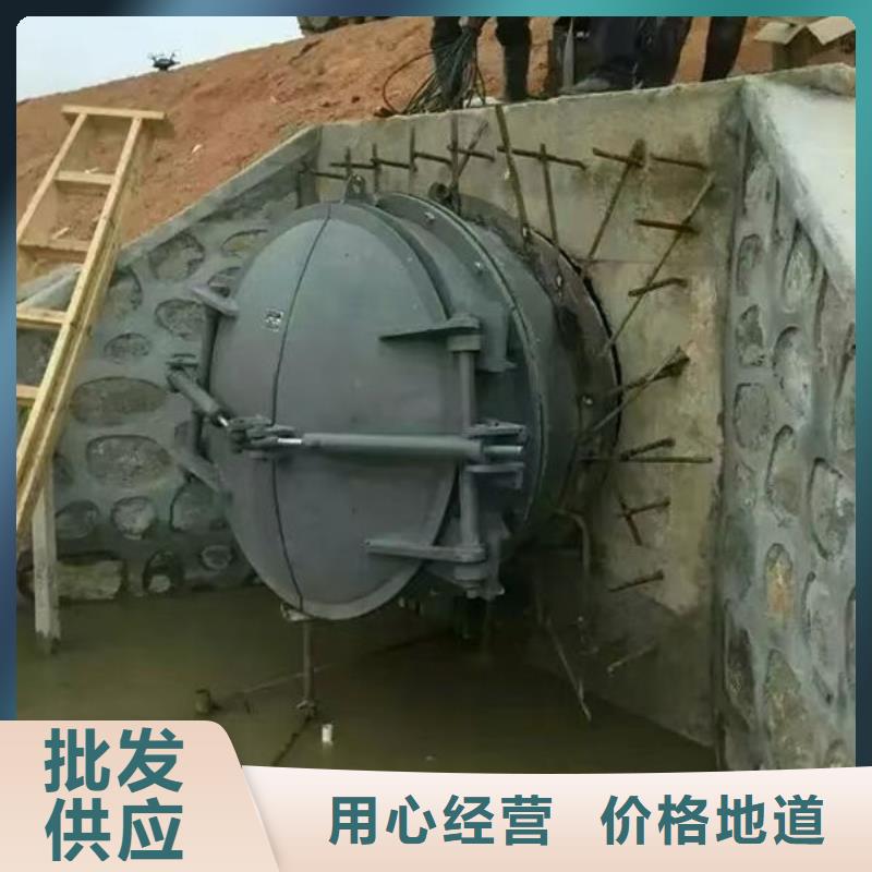 拍門-鋼拍門可定制