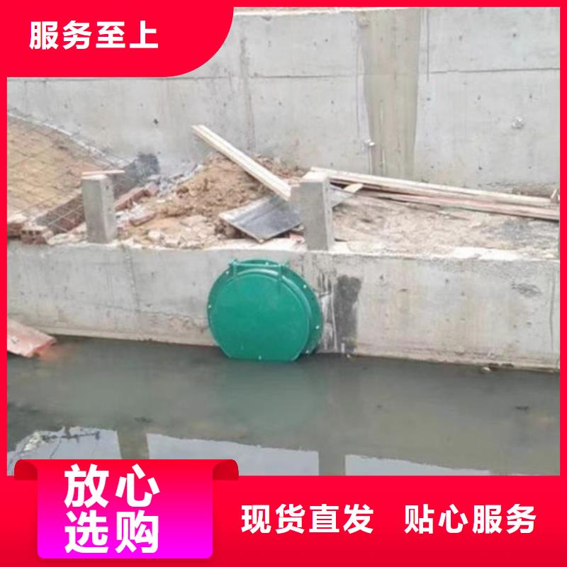 拍門防倒灌拍門品質(zhì)保證實(shí)力見(jiàn)證