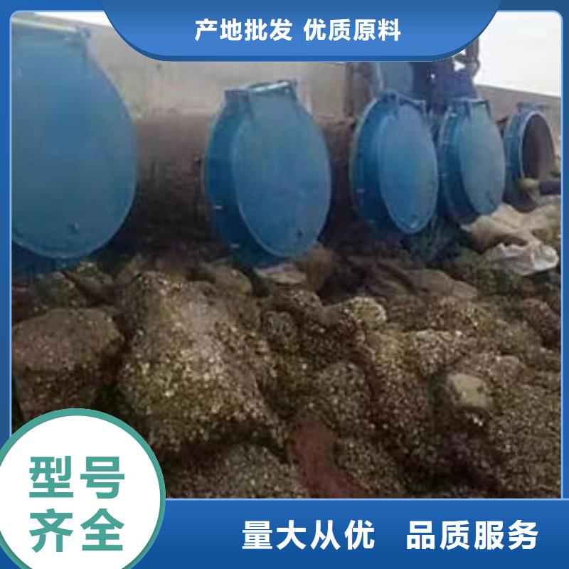 拍門鑄鐵拍門制造廠家