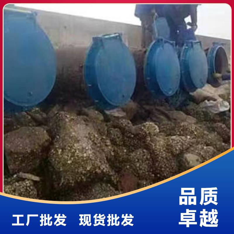 拍门复合材料拍门多家仓库发货