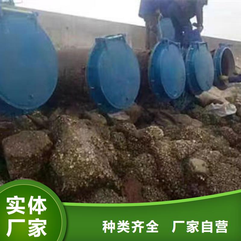 拍門不銹鋼拍門質(zhì)量三包