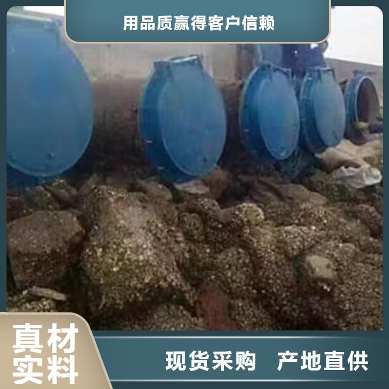 拍門鋼拍門支持大小批量采購