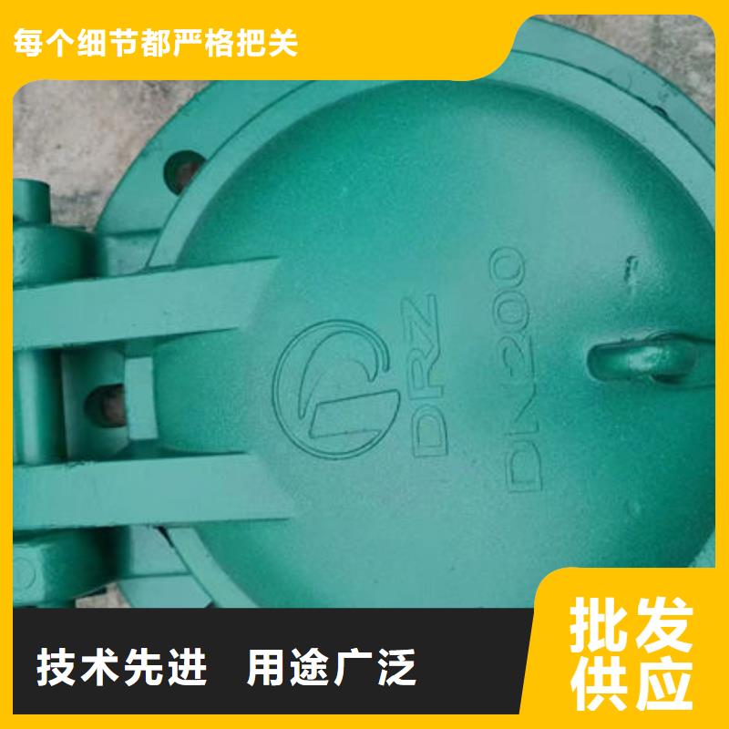 拍門(mén)復(fù)合材料拍門(mén)品質(zhì)信得過(guò)