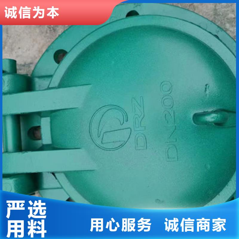 拍門球墨鑄鐵拍門生產(chǎn)廠家