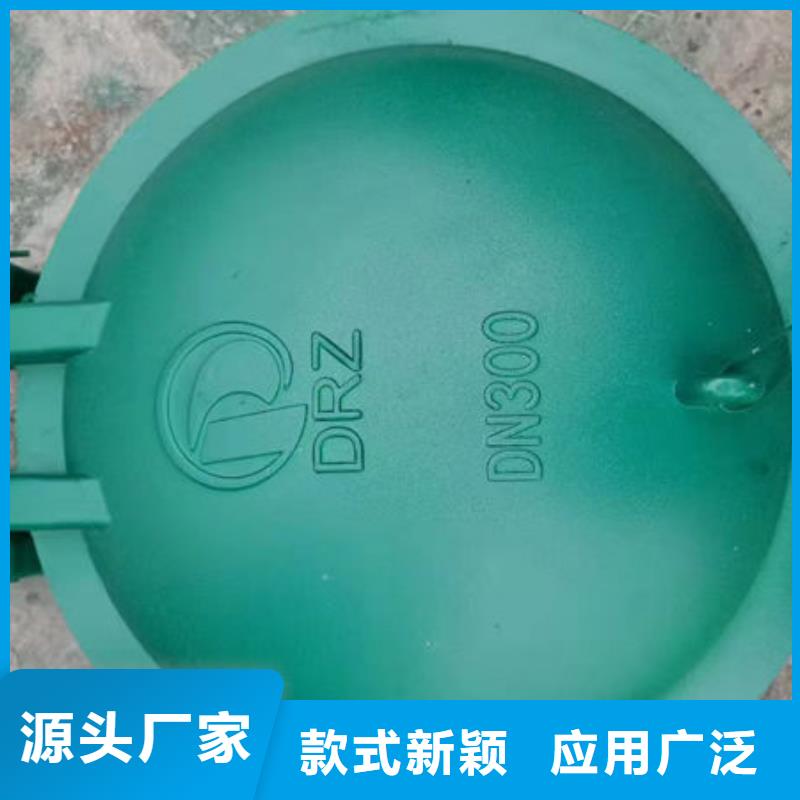 拍門拍門分類和特點(diǎn)