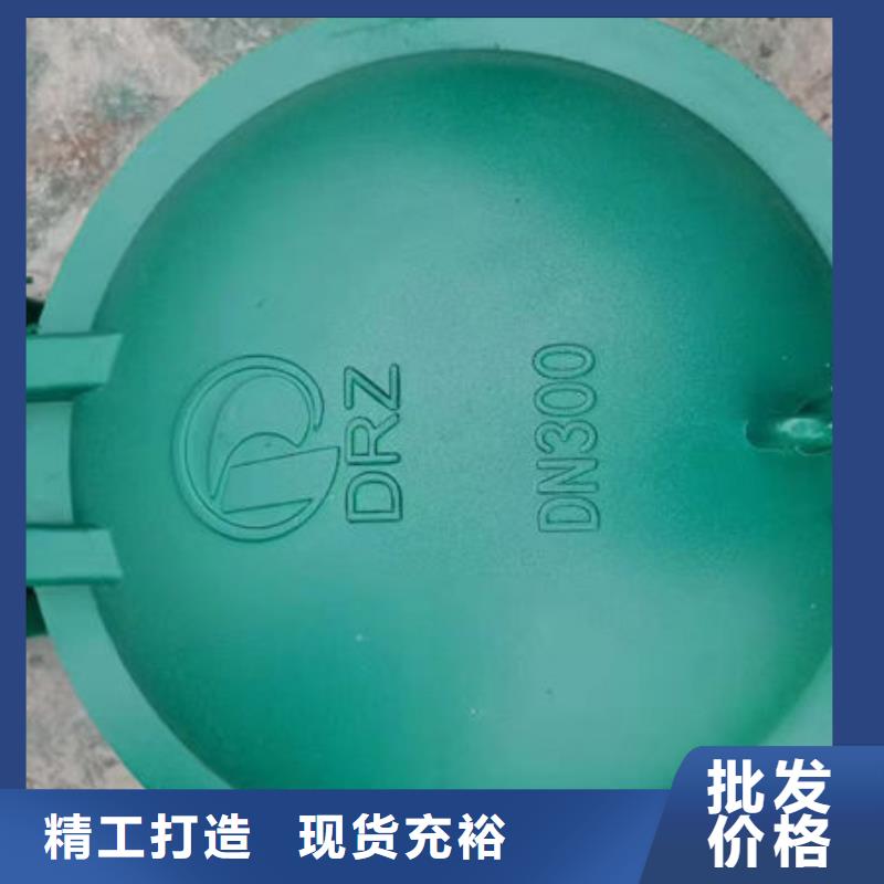 拍門鋼拍門嚴(yán)選好貨