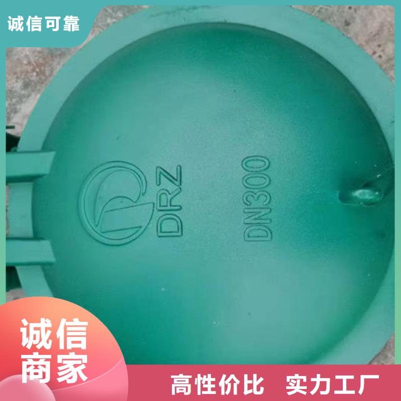 拍門球墨鑄鐵拍門廠家直銷直供