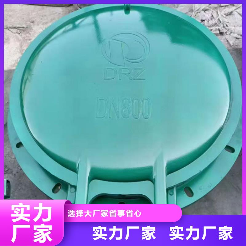 拍門鋼制拍門今日新品