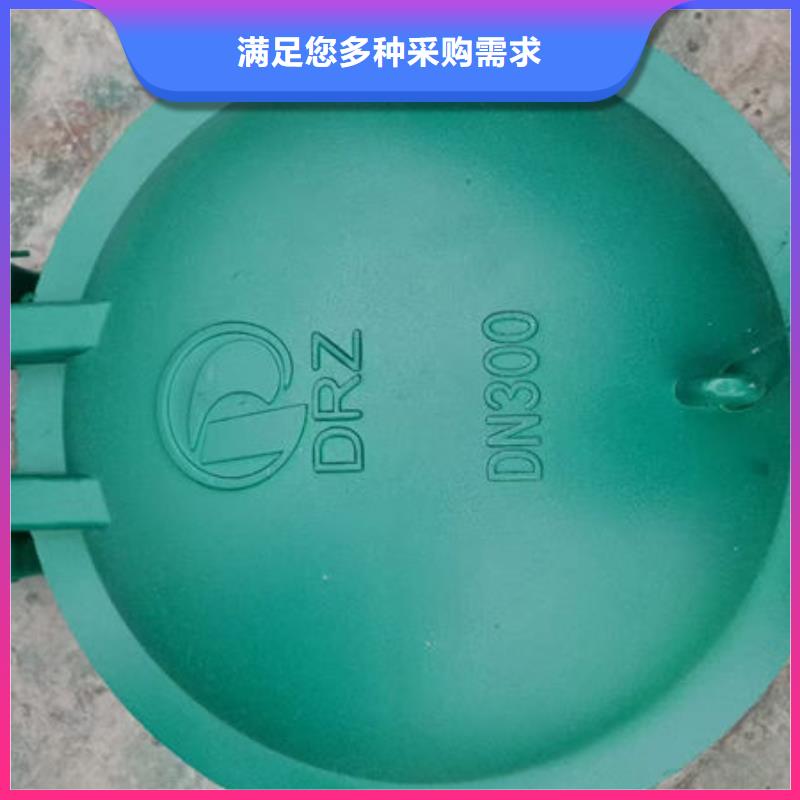 拍門_復(fù)合材料拍門快捷的物流配送