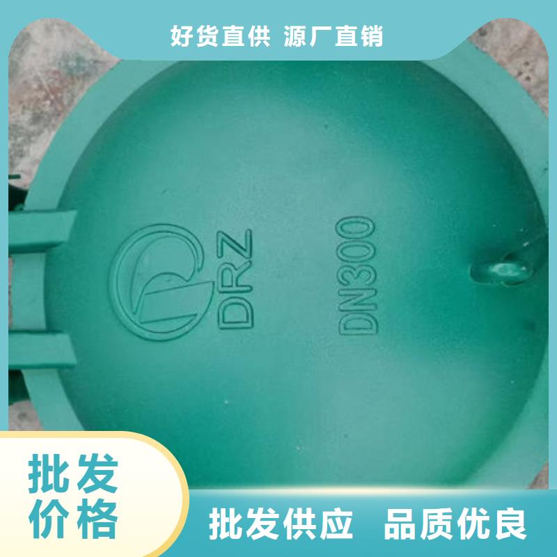 拍門球墨鑄鐵拍門精心打造