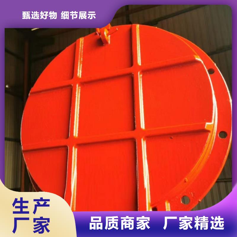 拍门球墨铸铁拍门生产厂家