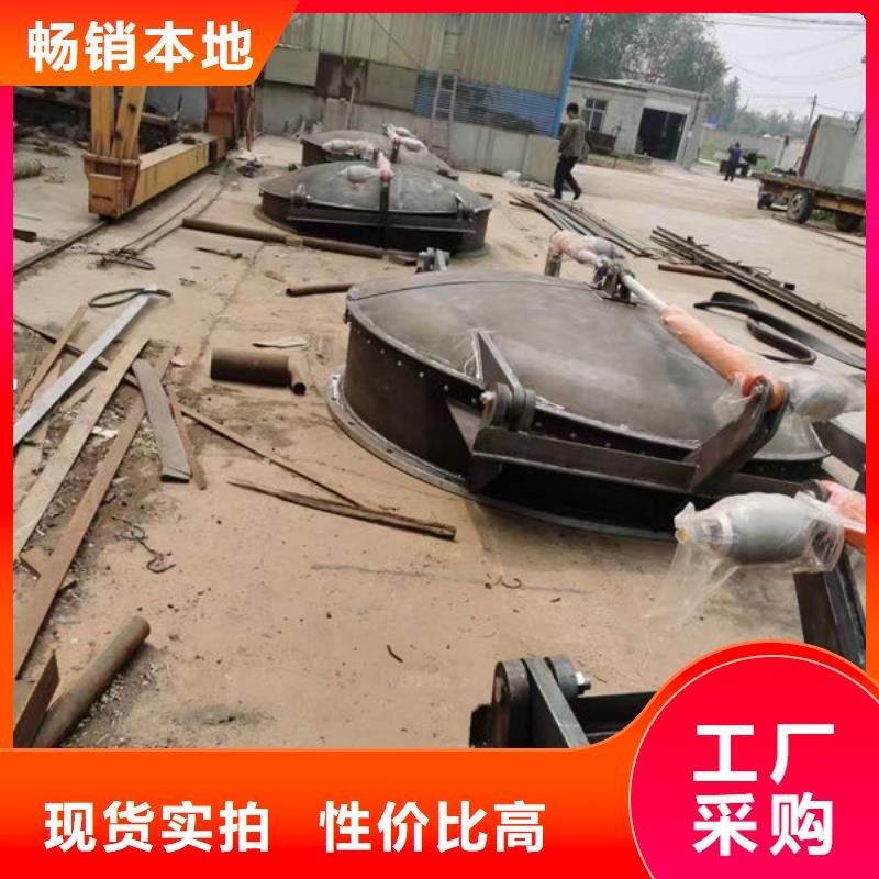 拍門(mén)不銹鋼拍門(mén)可定制有保障