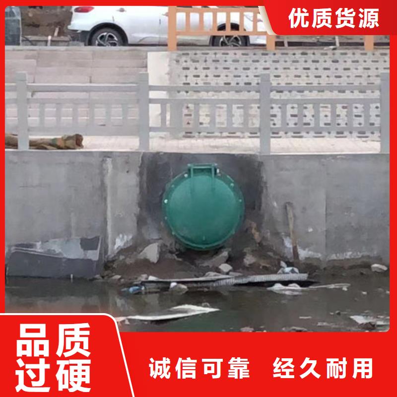 拍门球墨铸铁拍门多年厂家可靠