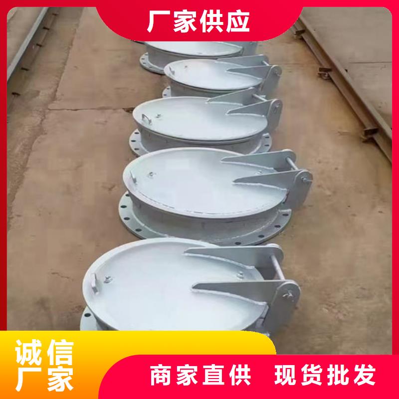 拍门球墨铸铁拍门免费询价
