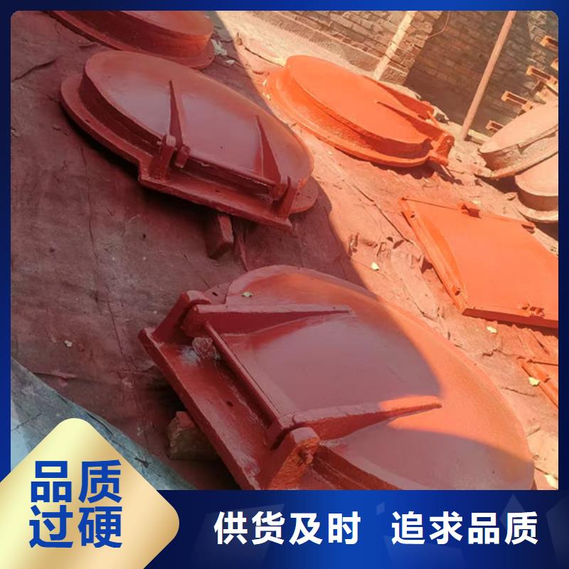 拍門(mén)方拍門(mén)廠家實(shí)力大