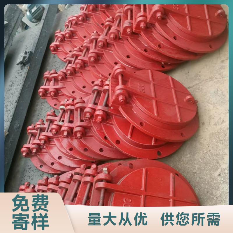 拍門鑄鐵拍門多種場(chǎng)景適用